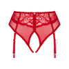 OBSESSIVE - DAGMARIE PANTIES CON LIGUERO XS/S