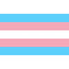 PRIDE - BANDERA 90 X 150 TRANSEXUAL